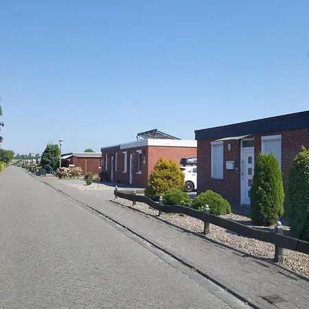 Ohrenqualle Holiday home