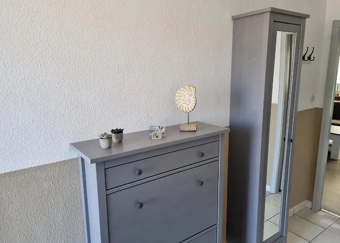 Daire Ohrenqualle Dornum